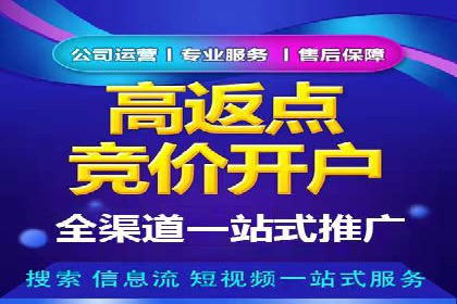 专业SEM托管：成功提升广告效果的案例分析